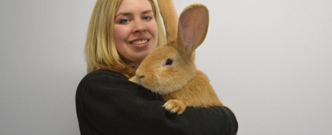 Copertina di “AAA cercasi casa per Atlas”: è un coniglio amichevole e curioso, ma grande come un cane di taglia media