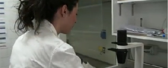 Copertina di Sperimentazione, scienziati de La Sapienza: “Superamento modello animale appena sarà scientificamente possibile”