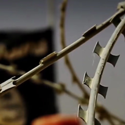 Traffici illegali, droga ed esseri umani