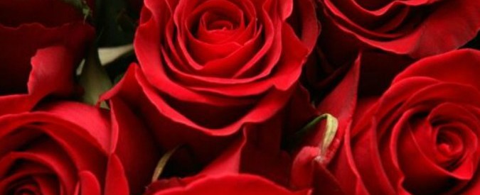 Rose rosse per te, ho mangiato stasera: quando il fiore dell’amore diventa un ingrediente in cucina