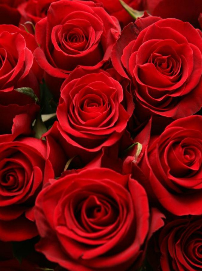 Rose rosse per te, ho mangiato stasera: quando il fiore dell’amore diventa un ingrediente in cucina