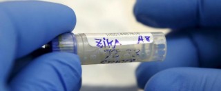 Copertina di Zika, gli scienziati: “Rinviare le Olimpiadi di Rio” ma l’Oms: “Non ci sono motivi”