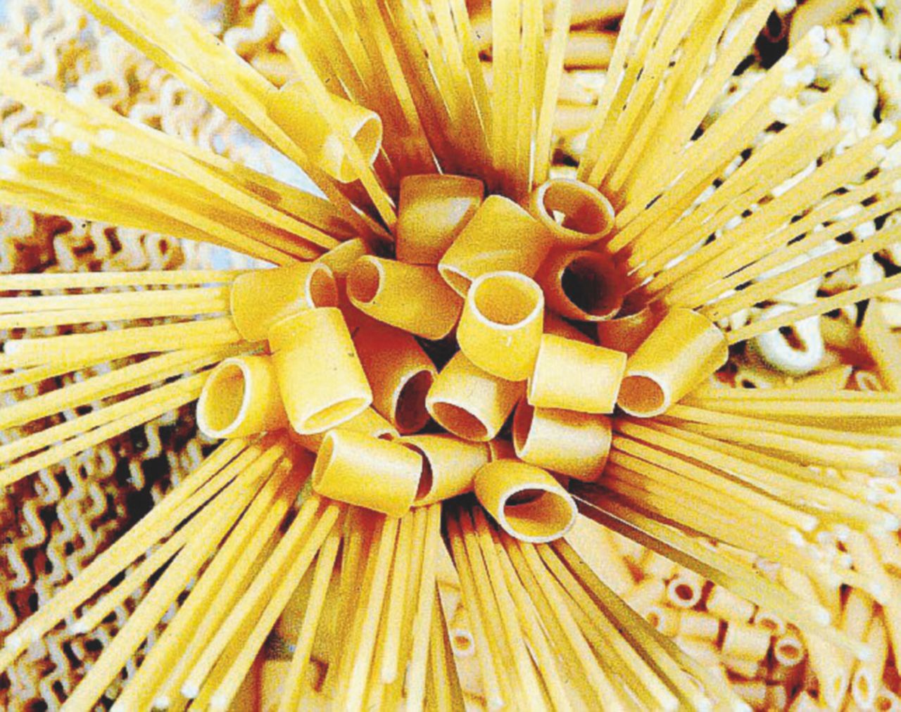 Grano duro? - Si indaga anche sull’eventuale presenza di grano tenero nella pasta Garofalo sequestrata a Genova Dopo la moka, spaghetti “made in Turchia”