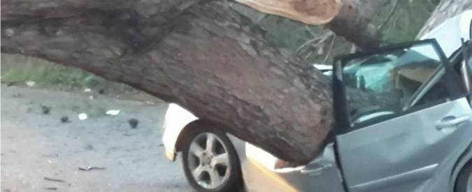 Roma, albero cade su un’auto ad Ardea: morti 2 uomini e ferita grave una donna