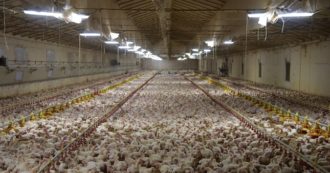 Copertina di Cop26. Clima, Italia retrocessa. Le colpe dell’Europa su agroalimentare e gas serra