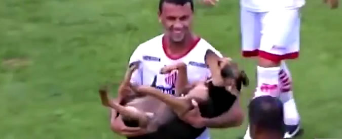 Copertina di Brasile, un cane fa invasione di campo e ferma la partita: calciatore lo prende in braccio