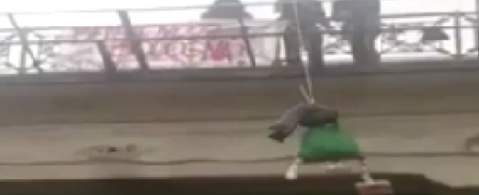Copertina di Bologna, collettivo appende fantoccio di Salvini a testa in giù. Procura acquisisce video