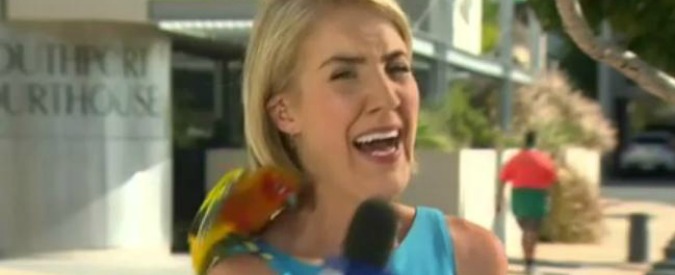 Copertina di Australia, “toglietemelo di dosso!”: la reazione della giornalista attaccata in diretta dal pappagallo
