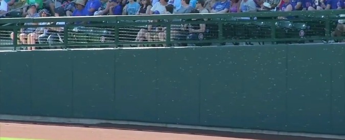 Copertina di Usa, sciame di api in campo: giocatore aggredito e la partita di baseball viene sospeso