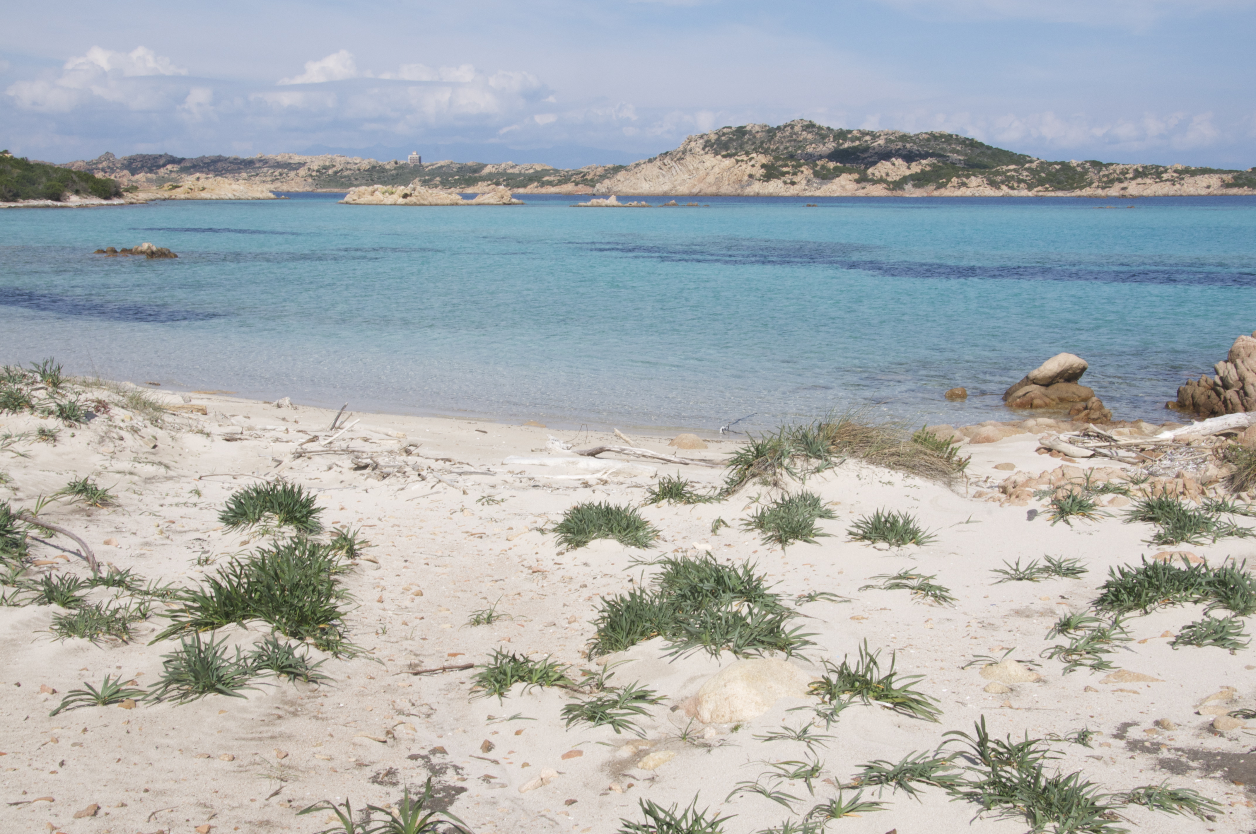 Sardegna Il Collezionista Disole E Lo Strano Caso Di