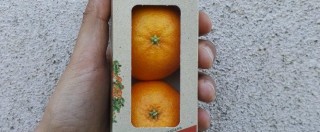 Copertina di “Sono tornato in Italia per valorizzare con uno snack le clementine della Calabria. L’obiettivo? L’Europa”