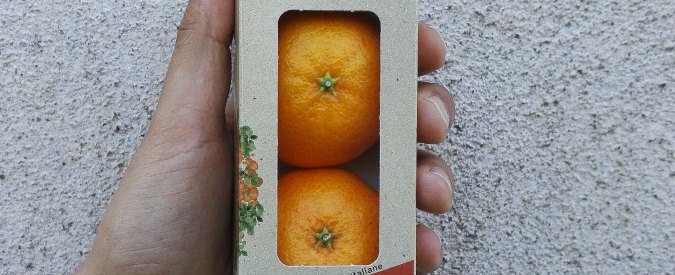 Copertina di “Sono tornato in Italia per valorizzare con uno snack le clementine della Calabria. L’obiettivo? L’Europa”