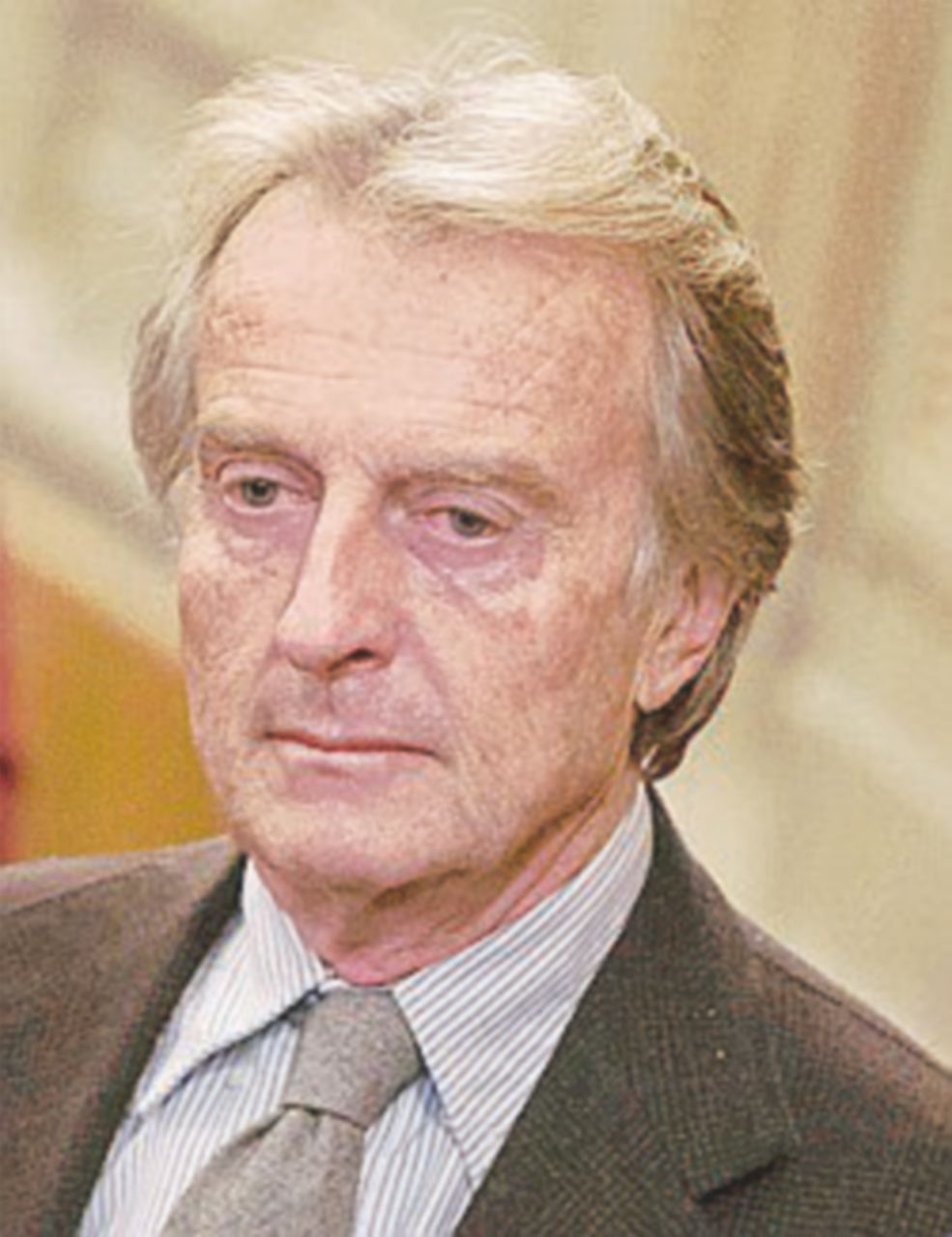 Montezemolo - Ansa Montezemolo: “L’associazione è divisa. I piccoli schiacciati dai big statali”