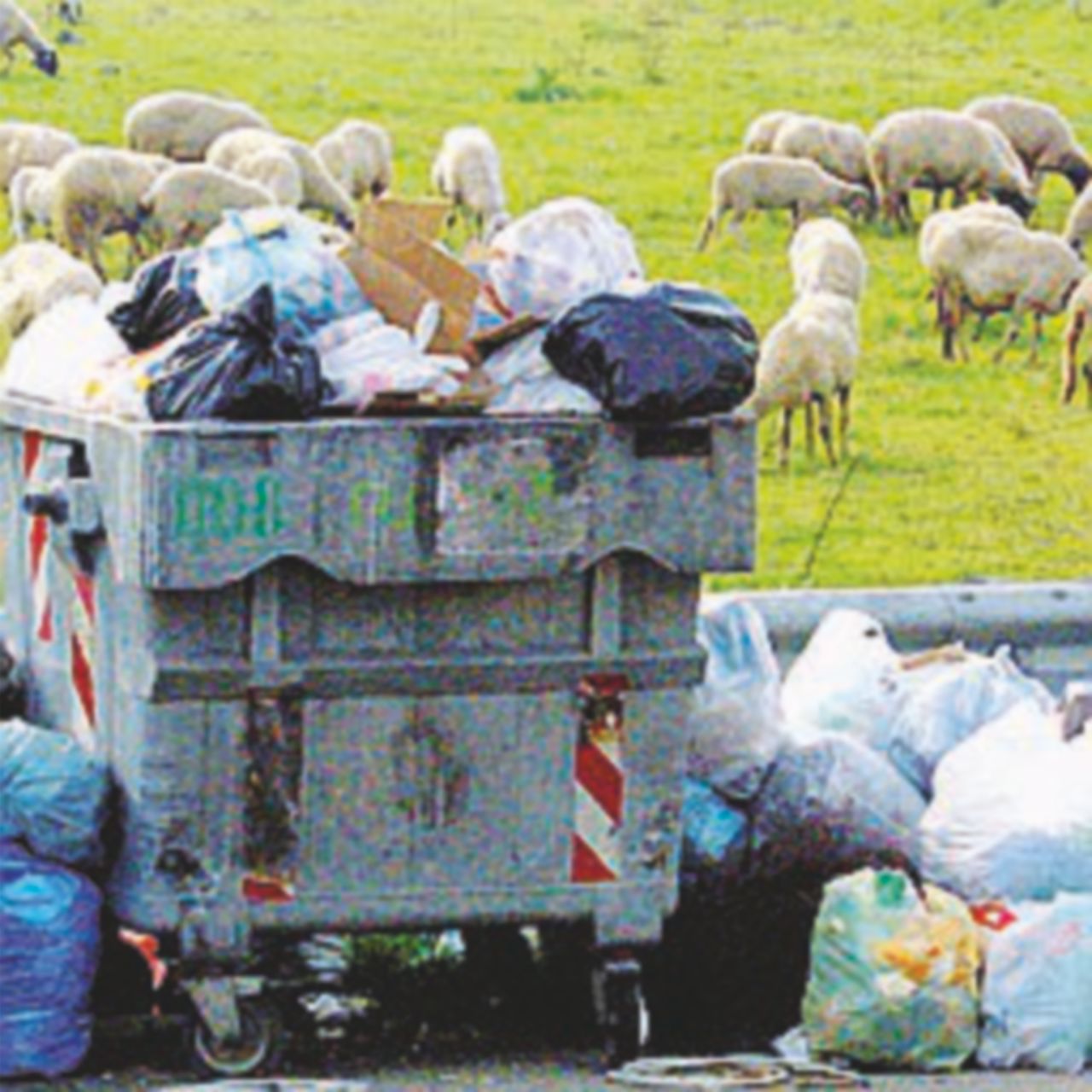 Copertina di L’inglorioso mistero di monnezza capitale