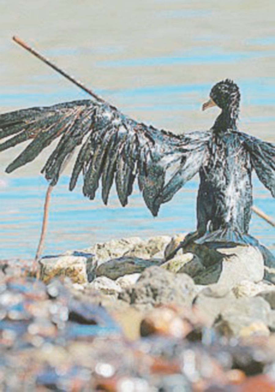 Genova, 600 mila metri cubi di petrolio nel Polcevera