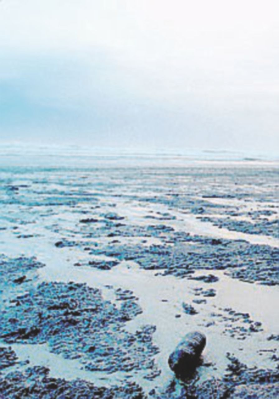 Nel Mediterraneo 100 mila tonnellate di greggio all’anno