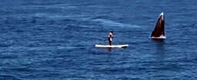 Copertina di Terrore in mare: balena salta fuori dall’acqua e sfiora uomo sul surf