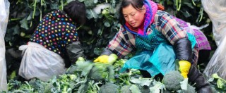 Copertina di Coldiretti, blacklist dei cibi contaminati: broccoli dalla Cina e fragole dall’Egitto