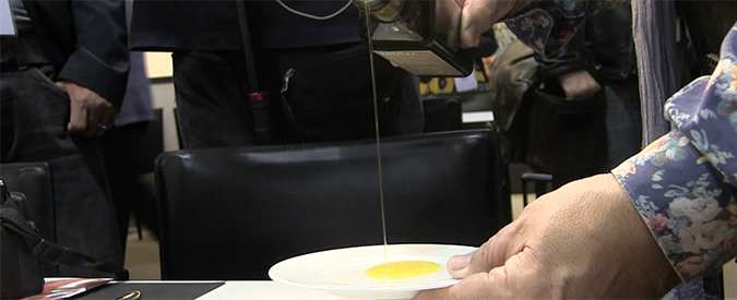 Copertina di Vinitaly, Saman presenta “Olio di casa nostra” prodotto sui terreni confiscati alla mafia