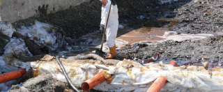 Copertina di Genova, emergenza petrolio: operai al lavoro per evitare che il greggio arrivi in mare