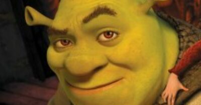 Copertina di “Mi sono ritrovata nascosta in un ripostiglio, sono traumatizzata”: cos’è lo “shrekking” e perché sta traumatizzando tante ragazze su TikTok