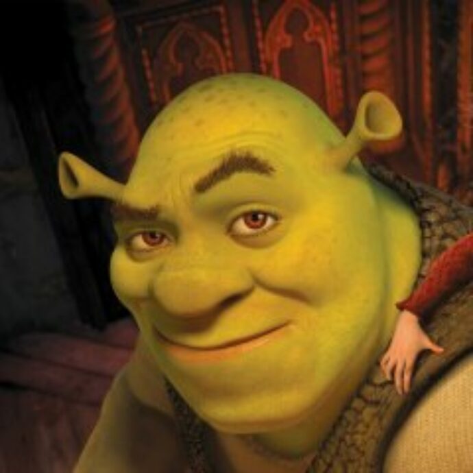 “Mi sono ritrovata nascosta in un ripostiglio, sono traumatizzata”: cos’è lo “shrekking” e perché sta traumatizzando tante ragazze su TikTok