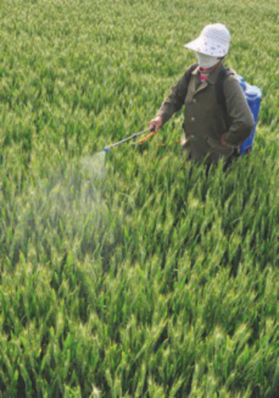 Pesticidi, il 64% delle acque di laghi e fiumi è contaminata Pesticidi, il 64% delle acque di laghi e fiumi è contaminata