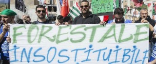 Copertina di Legge Madia: se il carabiniere-volpe controlla il pollaio-forestale