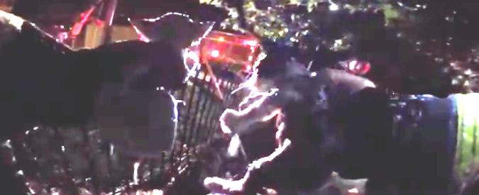 Copertina di Pompieri salvano gattini dall’incendio in California: il video della bodycam