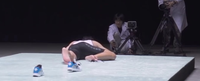 Copertina di Scienziato, atleta e lottatore di sumo vs trappola per scarafaggi: chi ha la meglio nella sfida della super colla