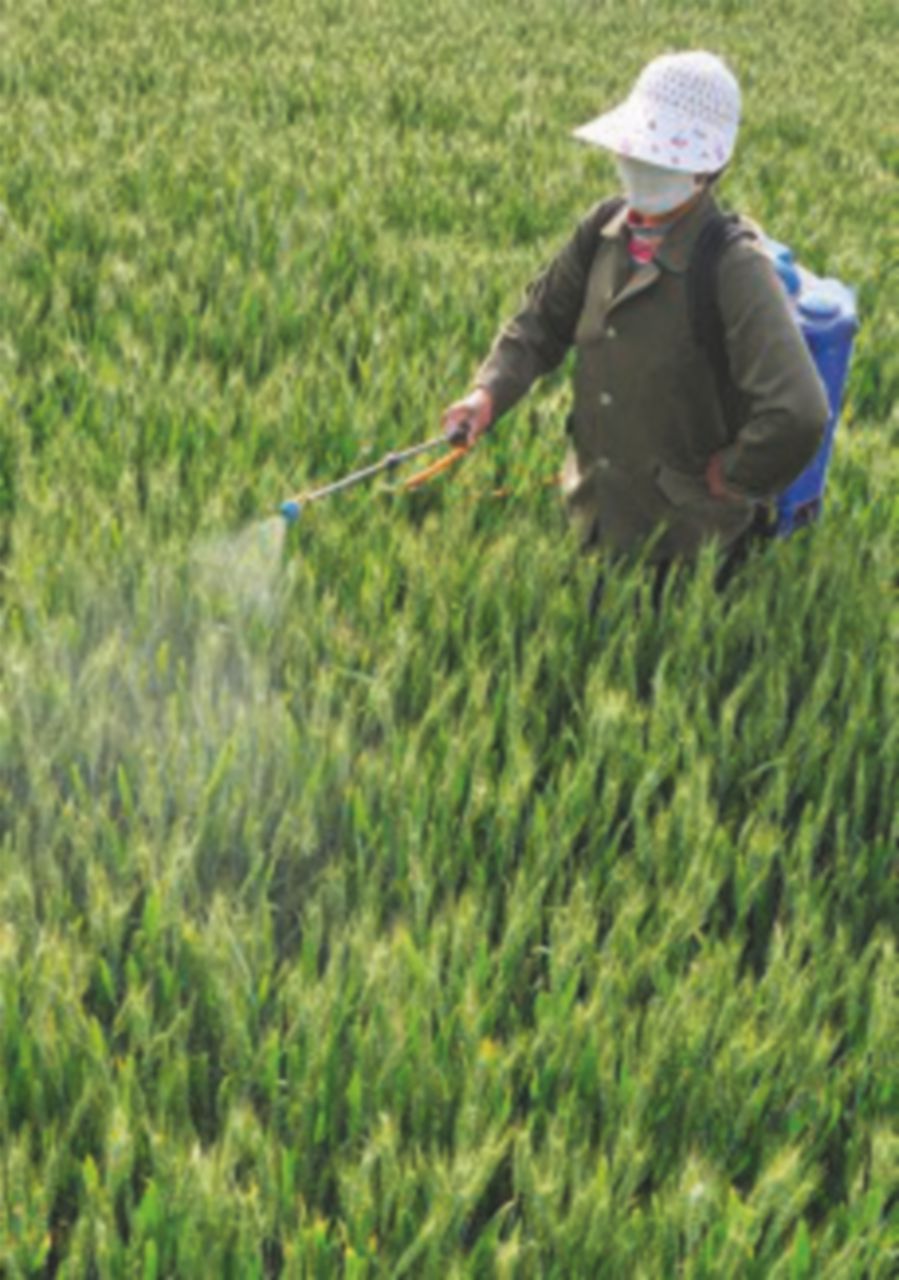 Glifosato, l’Ue ancora divisa sulla proroga all’uso del pesticida