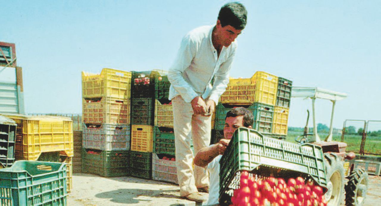 Copertina di “Laggiù trattati da bestie, al Nord da schiavi”