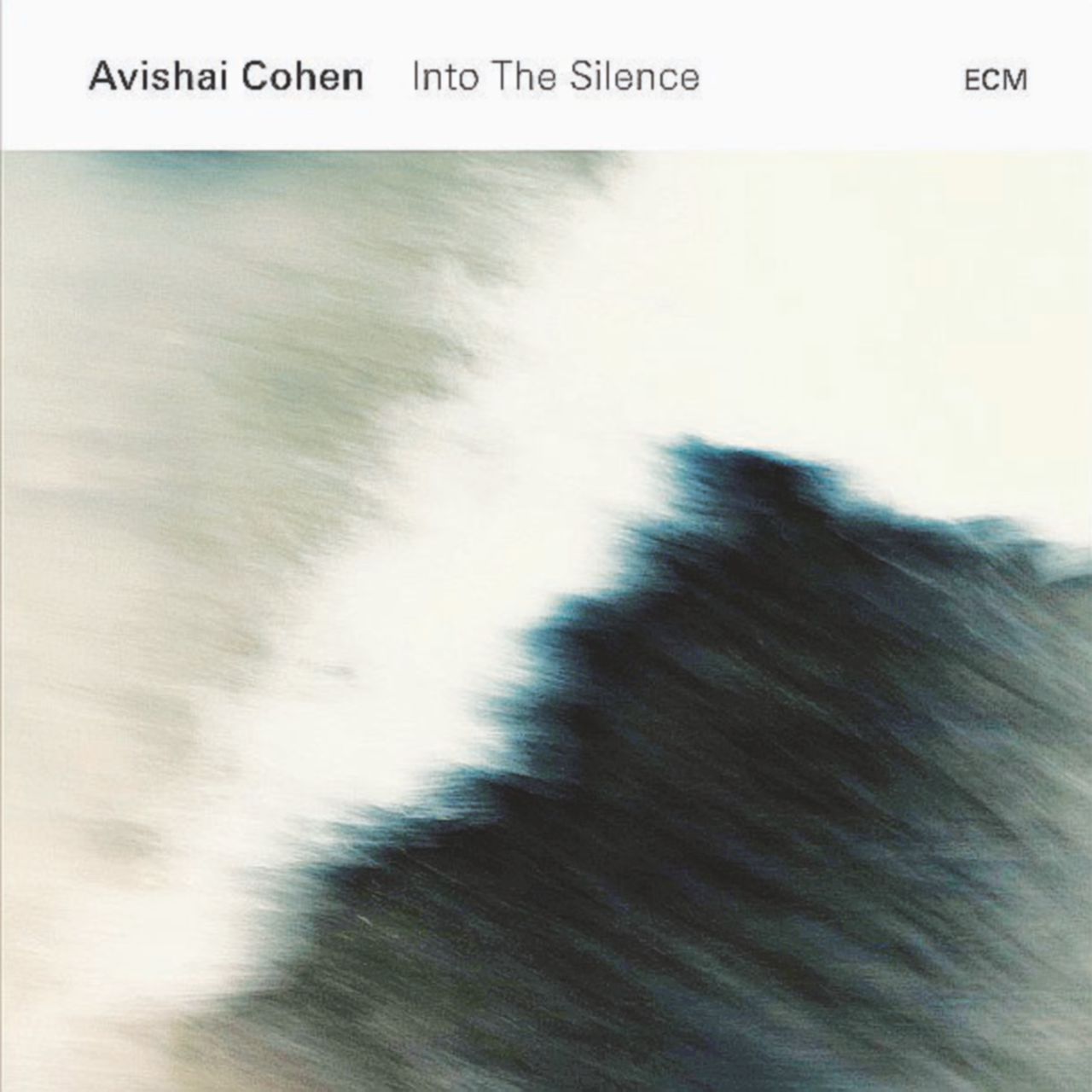 Copertina di La svolta di Avishai Cohen non da tutti compresa