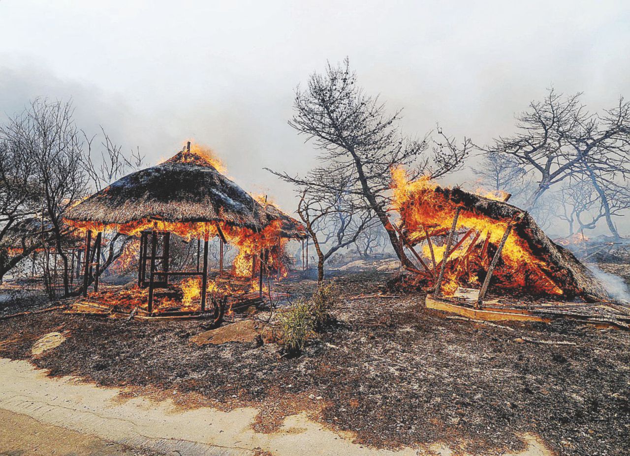 Copertina di Sicilia, inizia l’estate dei roghi: 50 bimbi intossicati dal fumo
