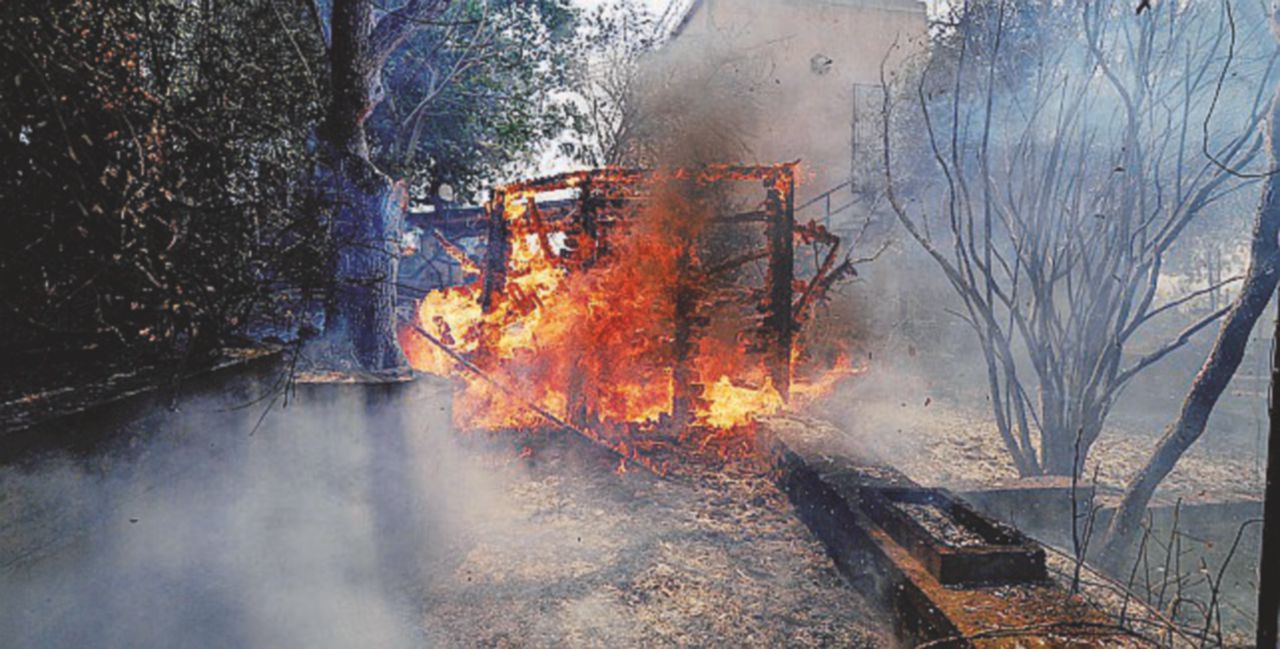 Sicilia in fiamme, Borsellino jr. indaga sugli incendi