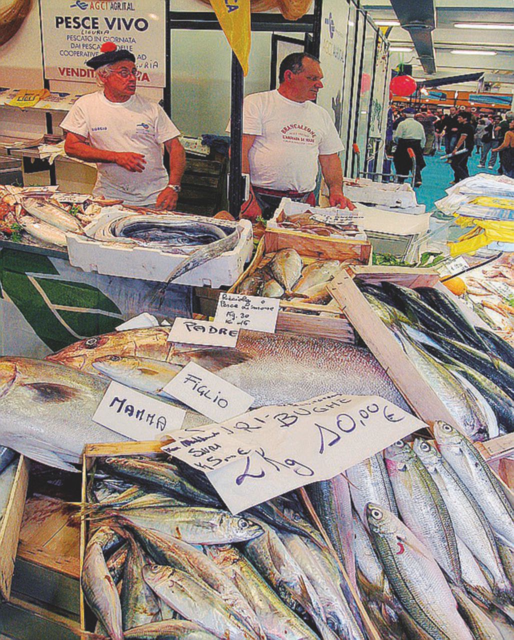 Copertina di L’ultima nota di “Creuza de mä”: a Genova chiude il mercato del pesce