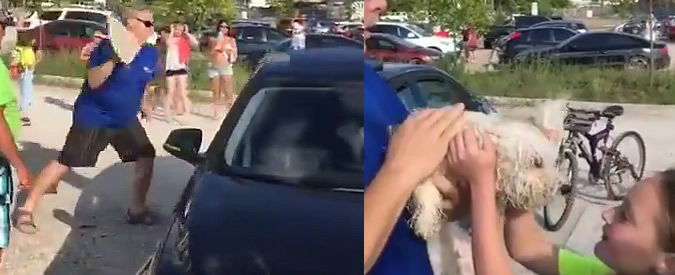 Copertina di Cagnolino chiuso in auto sotto al sole: distruggono finestrino e lo liberano