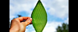 Copertina di Carburanti alternativi, in futuro si potranno ottenere dalle foglie sintetiche