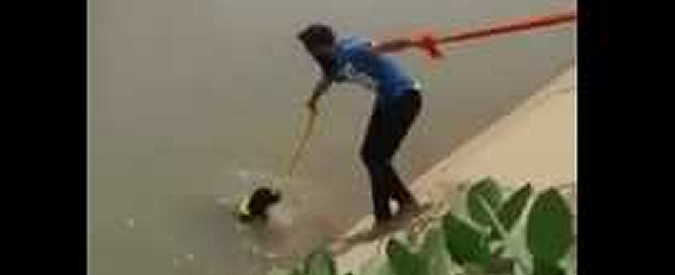 Copertina di Si toglie il turbante e lo usa per salvare il cane dall’annegamento