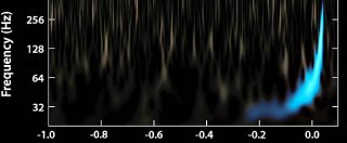 Copertina di Onde gravitazionali, secondo segnale. Ecco il canto che ha viaggiato 1,4 miliardi di anni