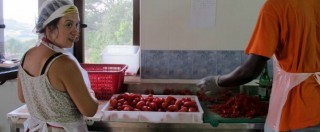 Copertina di Funky Tomato: il pomodoro italiano di alta qualità e senza caporalato