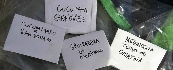 Copertina di Lecce, nasce il primo vivaio comune della biodiversità di Puglia. “Coltivare naturale per trattenere i giovani”