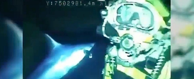 Copertina di Infilzato dal pesce spada, sub terrorizzato. Il video dell’attacco in acque brasiliane