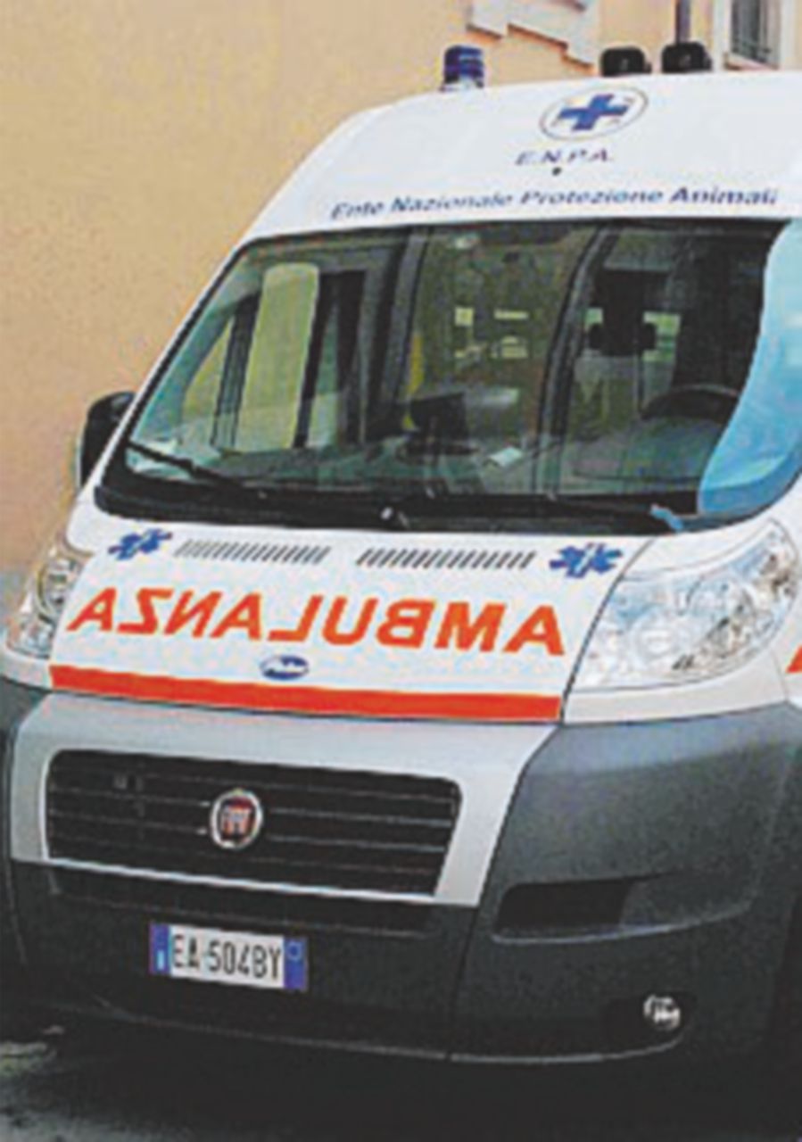 Infermiera di 52 anni accoltellata davanti alla figlia Infermiera di 52 anni accoltellata davanti alla figlia