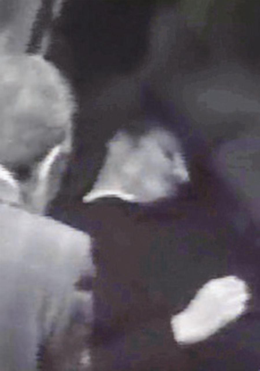 “In via Fani c’era Nirta, il potente boss della ’ndrangheta” “In via Fani c’era Nirta, il potente boss della ’ndrangheta”