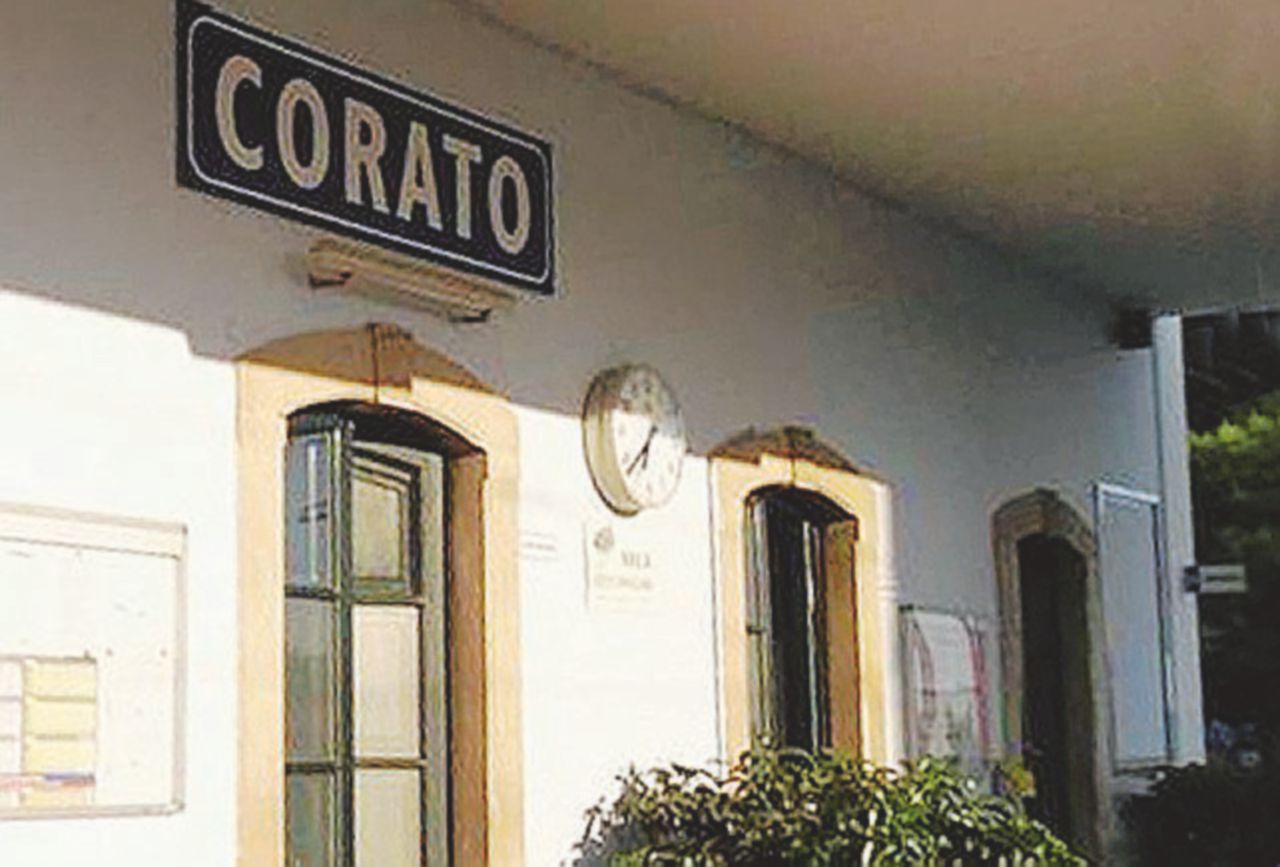 Lo scontro dei convogli è avvenuto lungo la linea Corato-Andria “140 treni in 19 ore: impossibile rispettare tutto il protocollo”