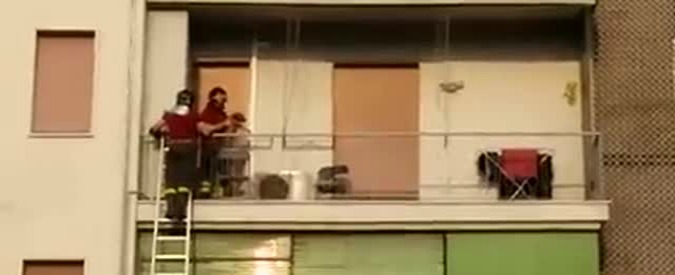 Copertina di Bergamo, cucciolo di tre mesi lasciato sul balcone sotto il sole: il salvataggio dei pompieri
