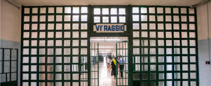Pet Therapy nel carcere di San Vittore per il recupero delle detenute psichiatriche: “Gli animali non giudicano”