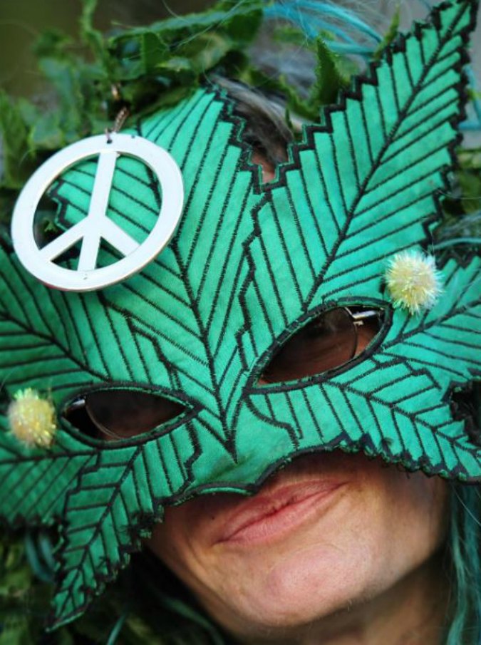 Cannabis, dieci cose che (forse) non sapete