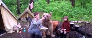 Copertina di Orso fa visita alla famiglia in campeggio. E resta a mangiare con loro